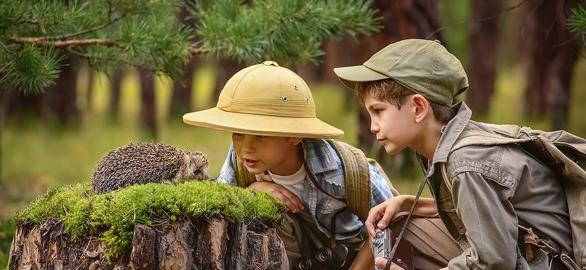 Fotosafari im Wald mit Kindern