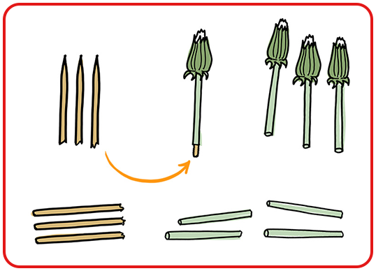 Step 2 - Wunscherfüller selber basteln