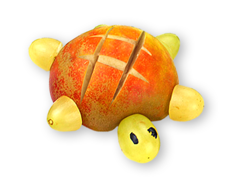 Obstschildkröte
