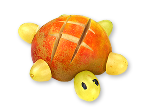 Fruchtige Schildkröten