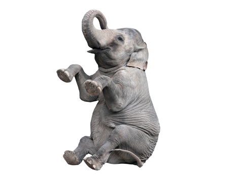 Elefant