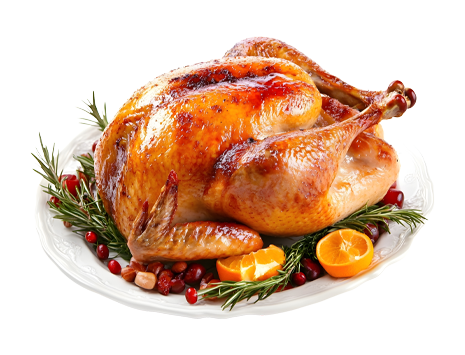 Weihnachtsgans