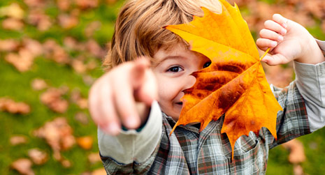 Herbstbaum